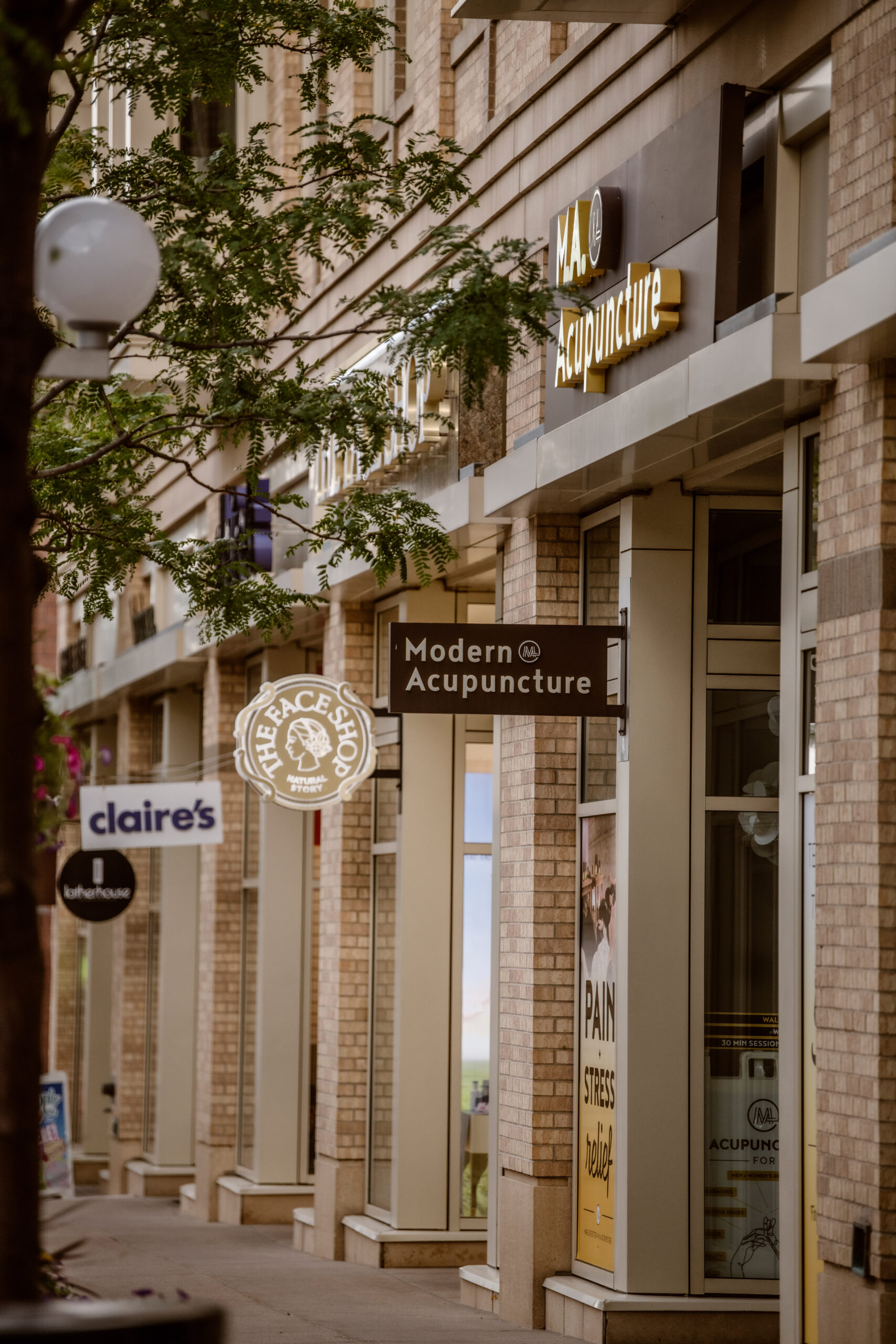 Modern Acupuncture LakewoodBelmar Belmar Shopping District