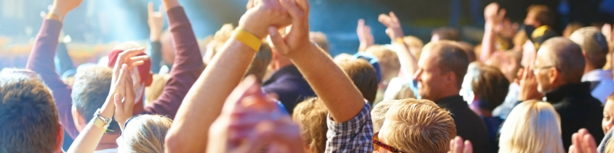 Summer Concert Series